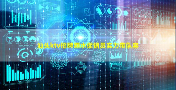 汕头ktv招聘酒水促销员实力带队容